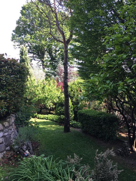 Il Pioppo Antico Apartment Viggiu Exterior photo